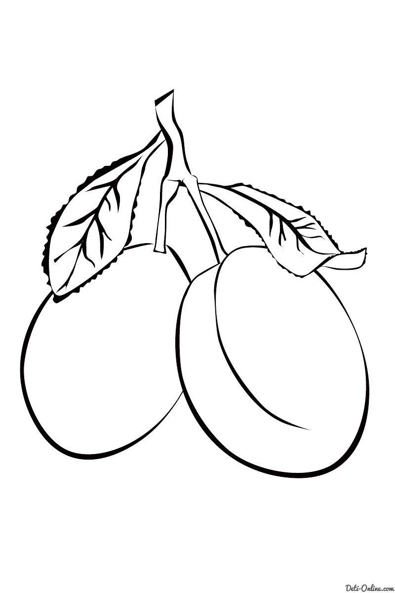 Coloring Figure plum. Category berries. Tags:  plum.
