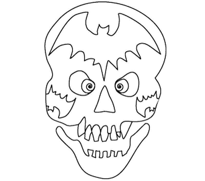 Coloring Skull. Category Halloween. Tags:  skull.