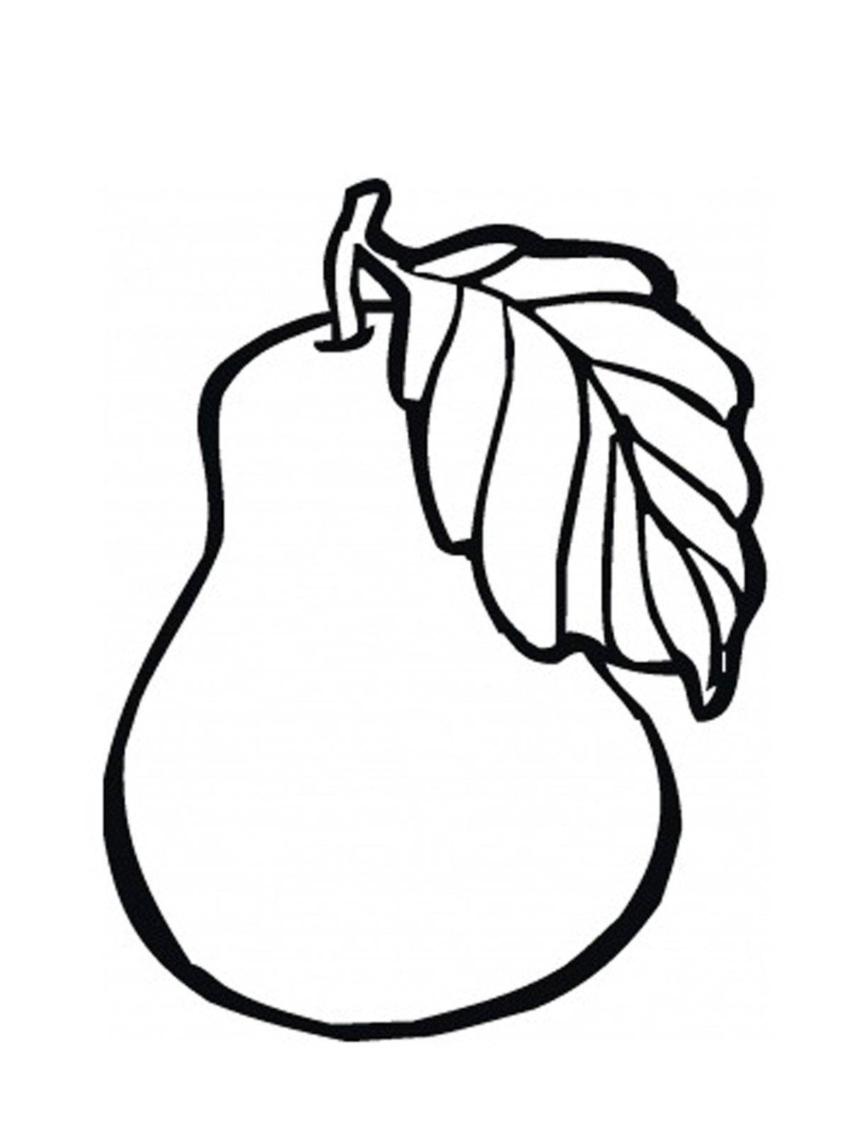 Coloring Pear. Category fruits. Tags:  the Duchess .