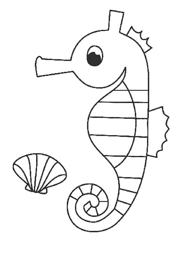 Название: Раскраска Морской конёчек. Категория: Раскраски для малышей. Теги: Подводный мир, морские коньки.