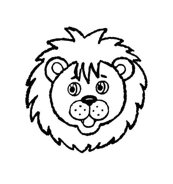 Название: Раскраска Удивленный львёнок. Категория: Раскраски для малышей. Теги: Животные, лев.