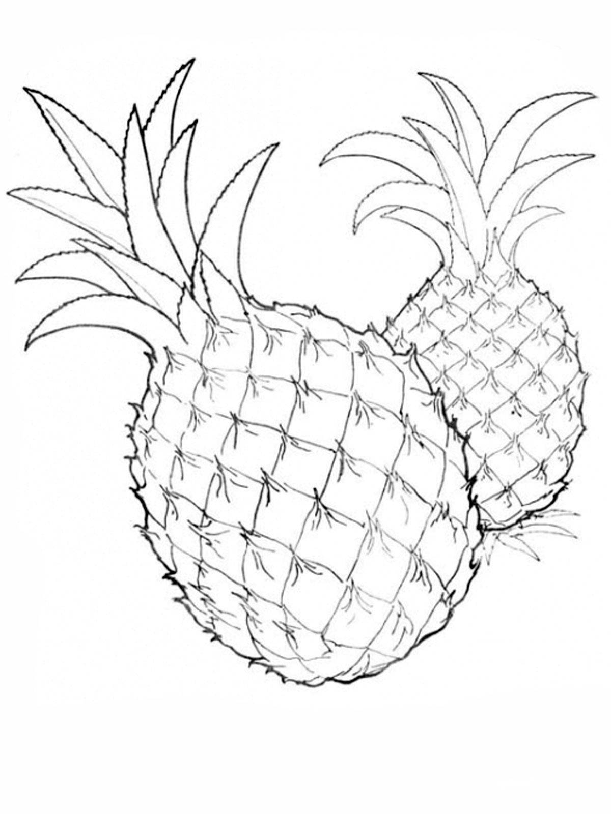 картинки для раскрашивания ананас