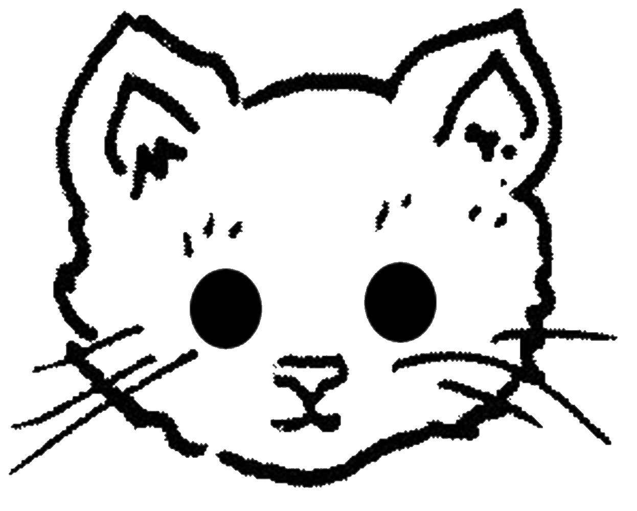 Coloring Cat. Category Animals. Tags:  the cat.