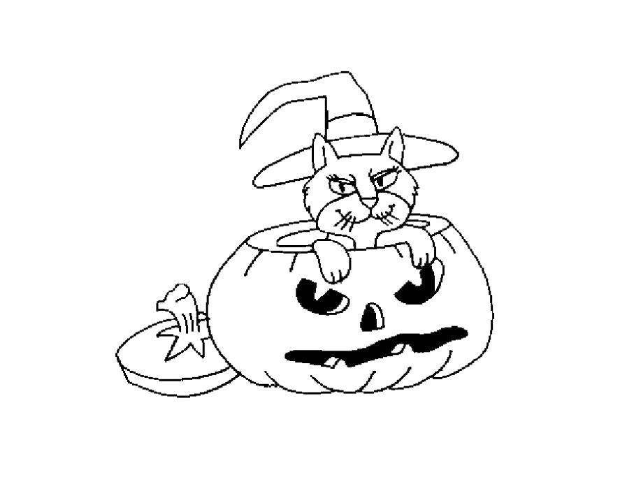 Coloring Cat on Halloween. Category Halloween. Tags:  Halloween, cat, pumpkin.