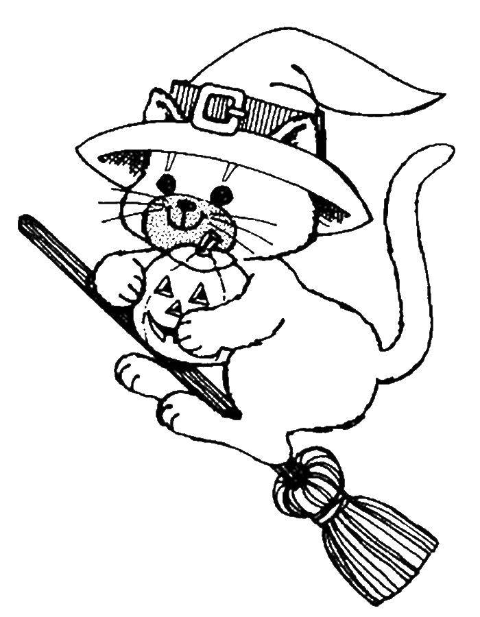 Coloring Cat with pumpkin flying on a broom. Category Halloween. Tags:  Halloween, witch, night, cat, broom.
