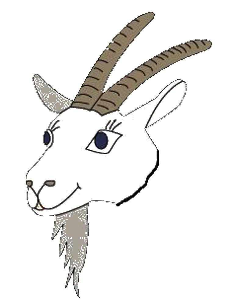 Coloring Goat. Category Pets allowed. Tags:  the goat.