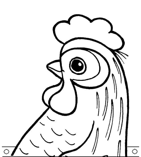 Coloring Chicken. Category Animals. Tags:  chicken.