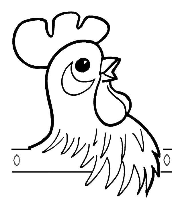 Coloring Cock. Category Animals. Tags:  The cock.