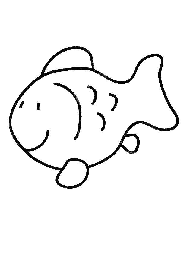 Название: Раскраска Рыбка радуется жизни. Категория: Раскраски для малышей. Теги: Подводный мир, рыба.