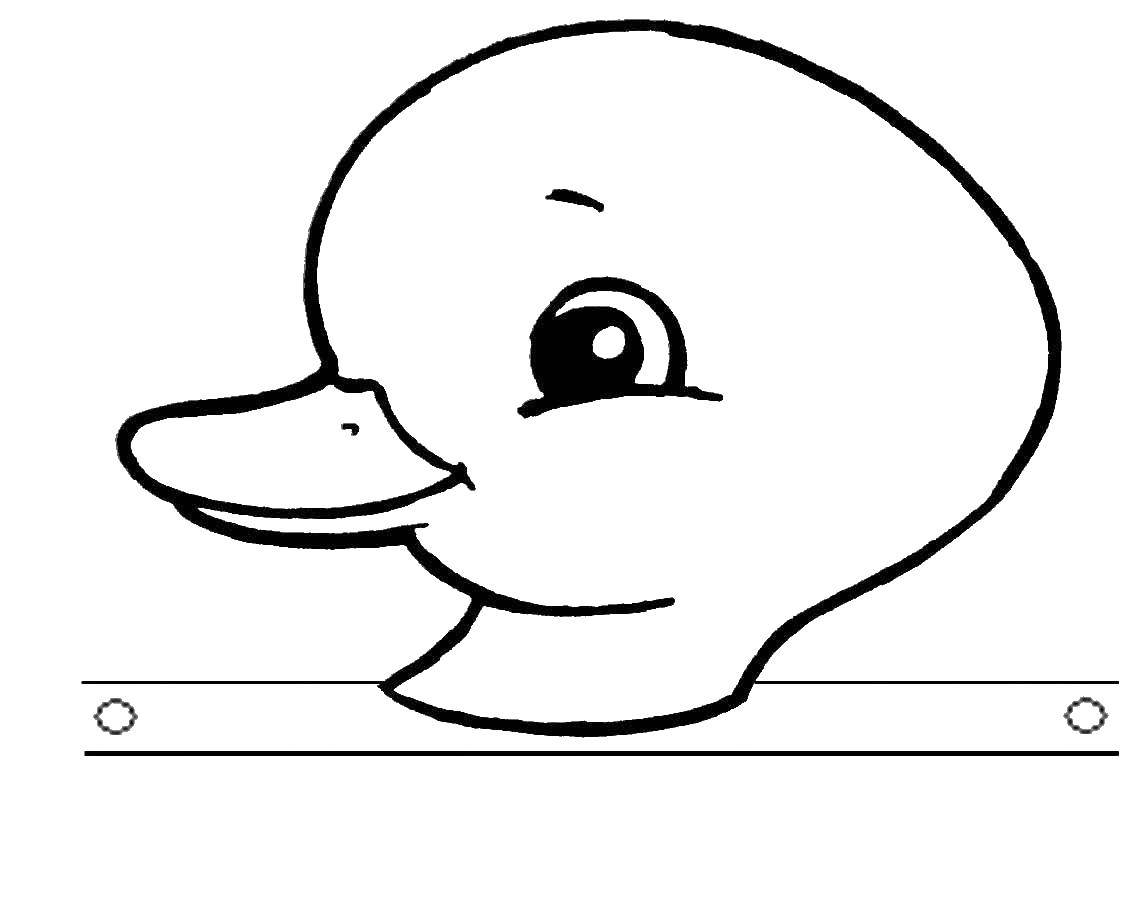 Coloring Duck. Category Masks . Tags:  duckling.