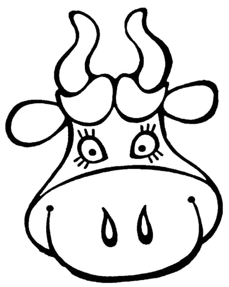 Coloring Cow. Category Animals. Tags:  cow.