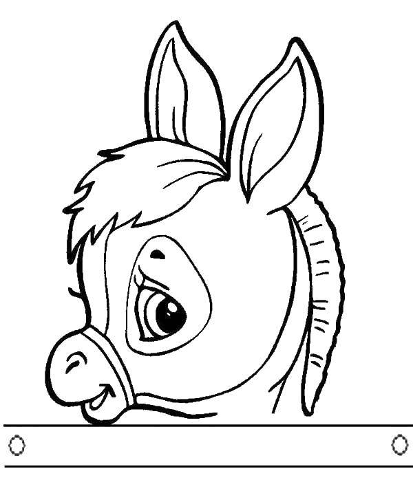 Coloring Donkey. Category Animals. Tags:  donkey .