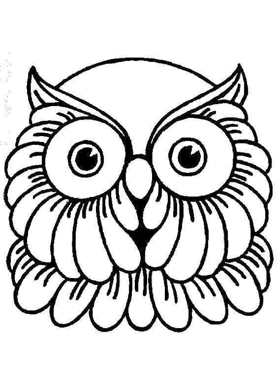 Coloring Owl. Category Animals. Tags:  owl.