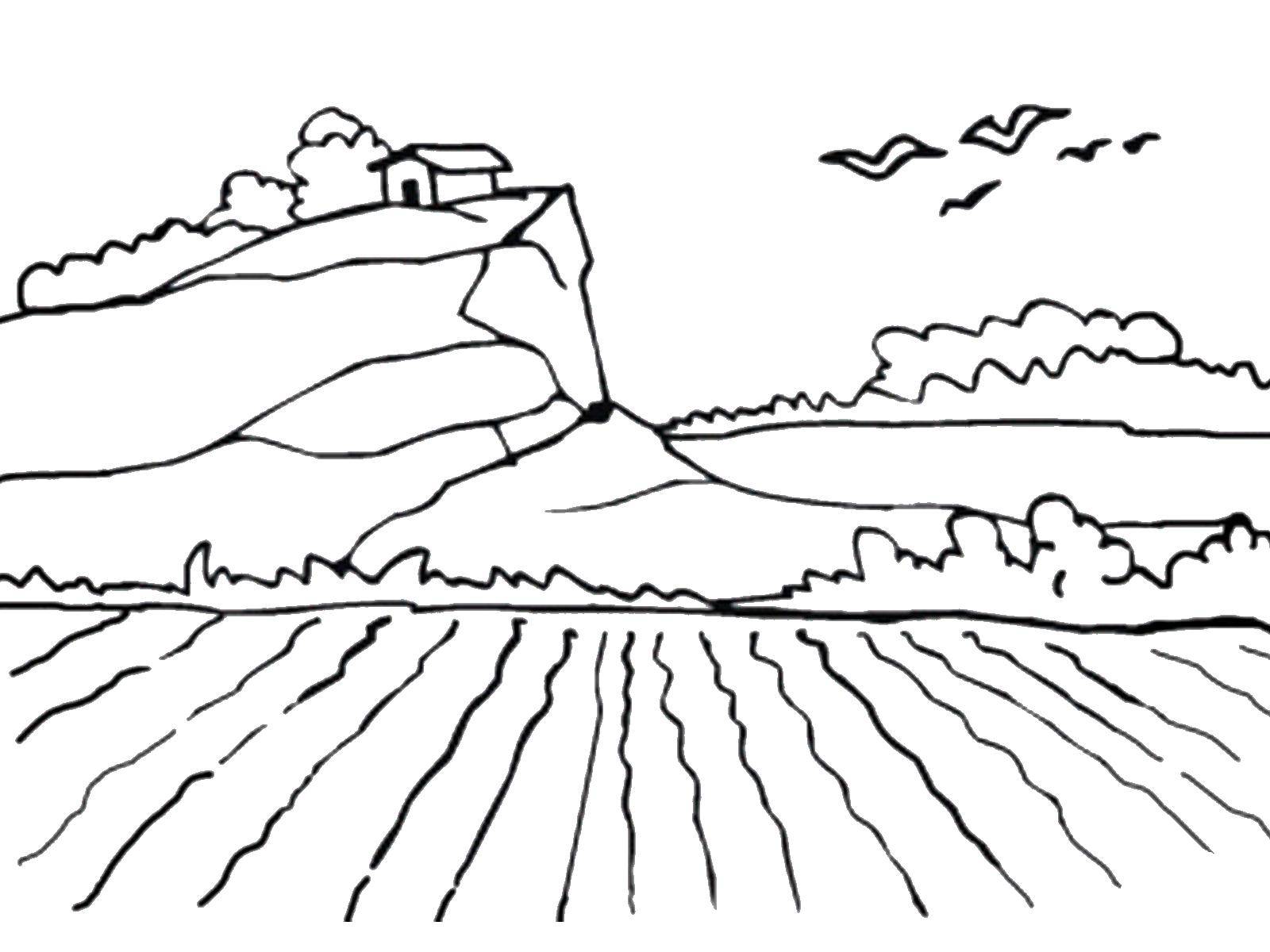 Название: Раскраска Домик на холме. Категория: Природа. Теги: дом, холм.