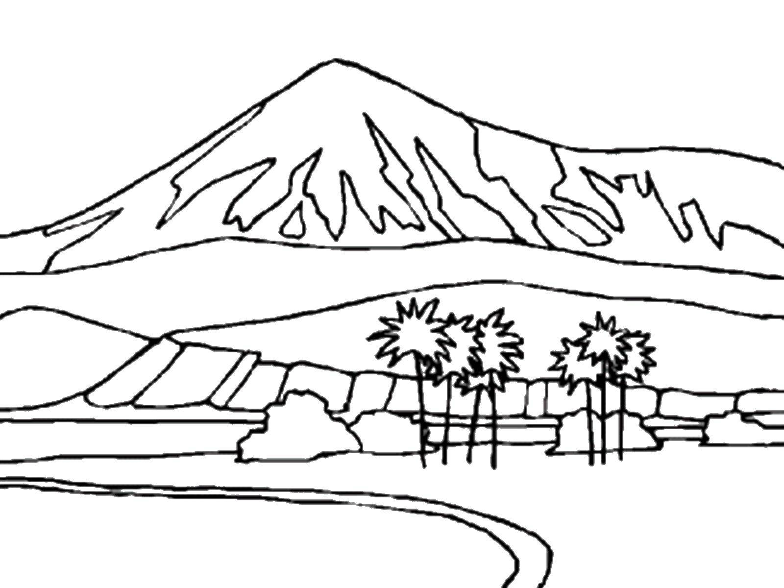 Coloring Mountain and palm trees. Category Nature. Tags:  mountains, palm trees.