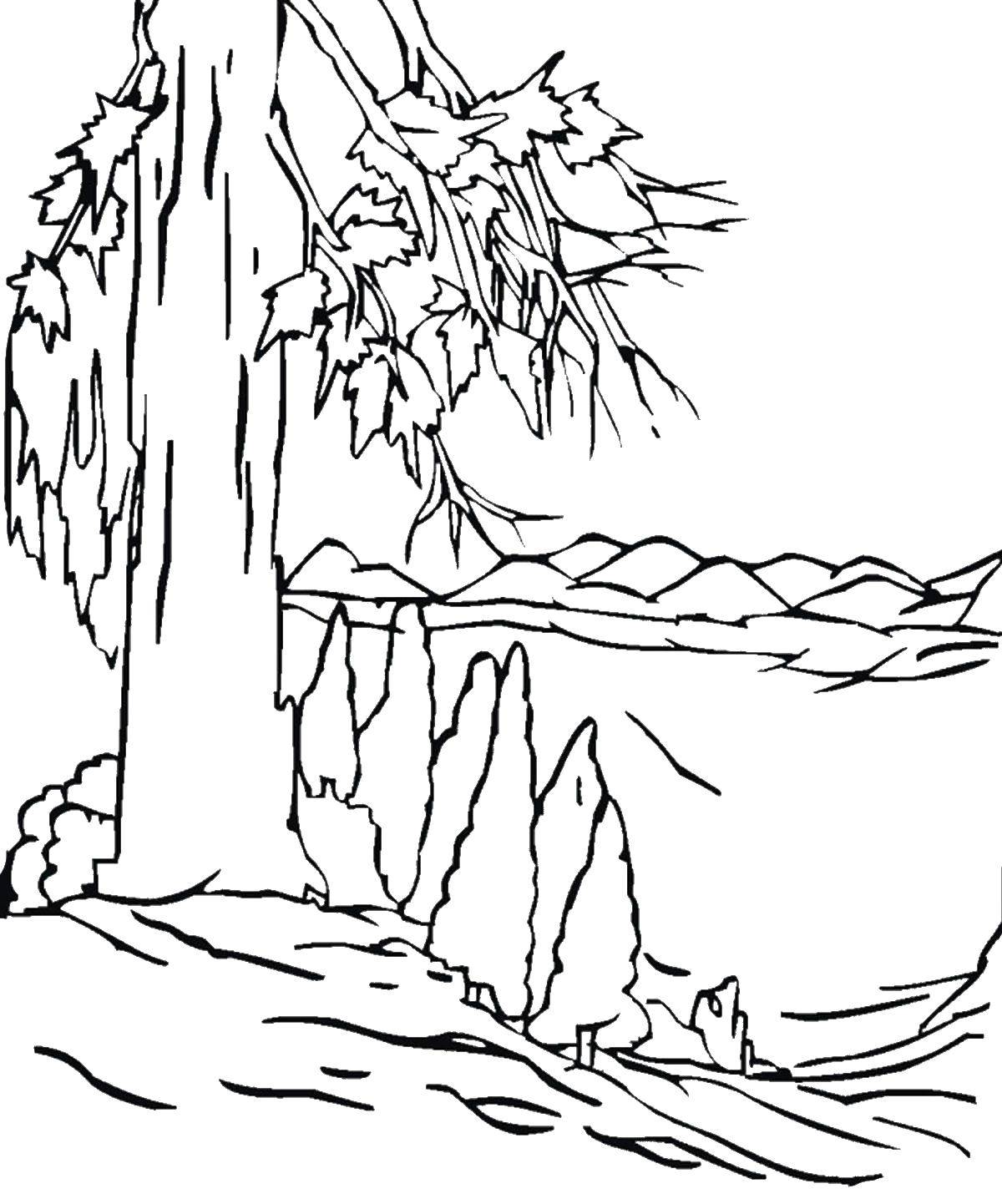 Coloring Forest landscape. Category Nature. Tags:  Nature, forest, mountains.