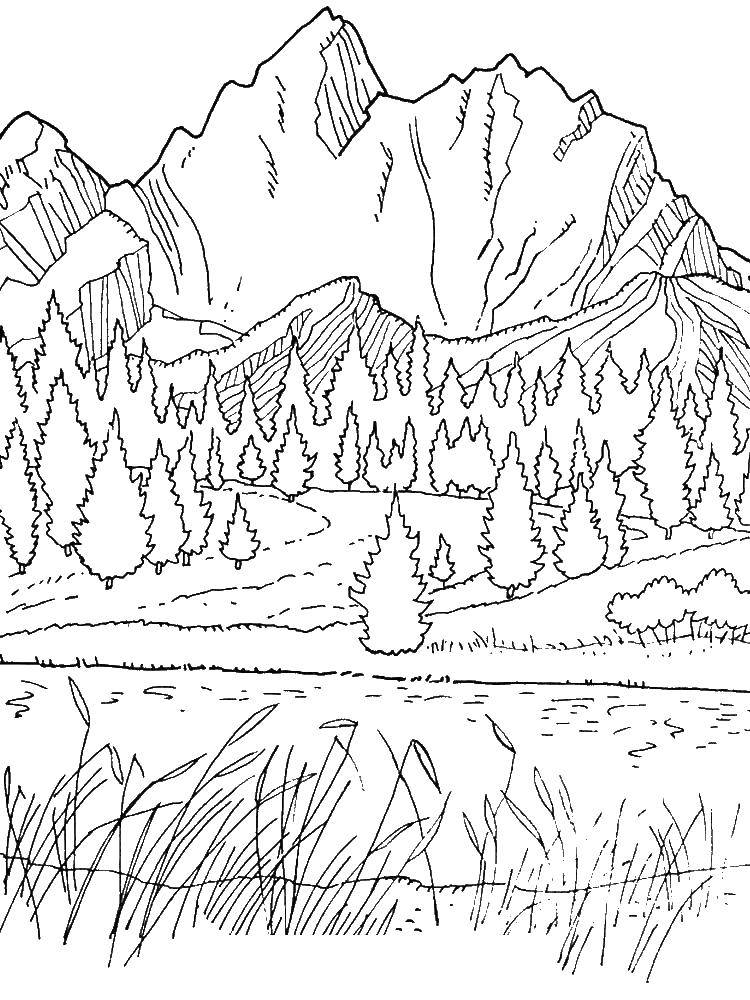 Название: Раскраска Речка и лес у подножья гор. Категория: Природа. Теги: Природа, лес, горы, река.