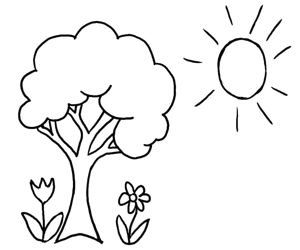 Розмальовки  На квіти під деревом світить сонце. Завантажити розмальовку дерево, квіти, сонце.  Роздрукувати ,Природа,
