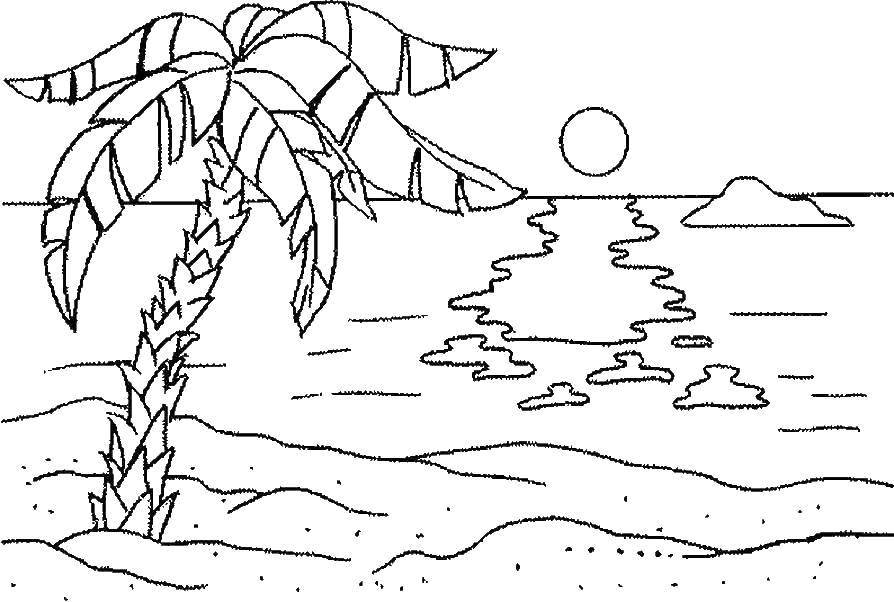 Розмальовки  Самотня пальма на березі пляжу. Завантажити розмальовку Пляж, пісок, пальма.  Роздрукувати ,Пляж,