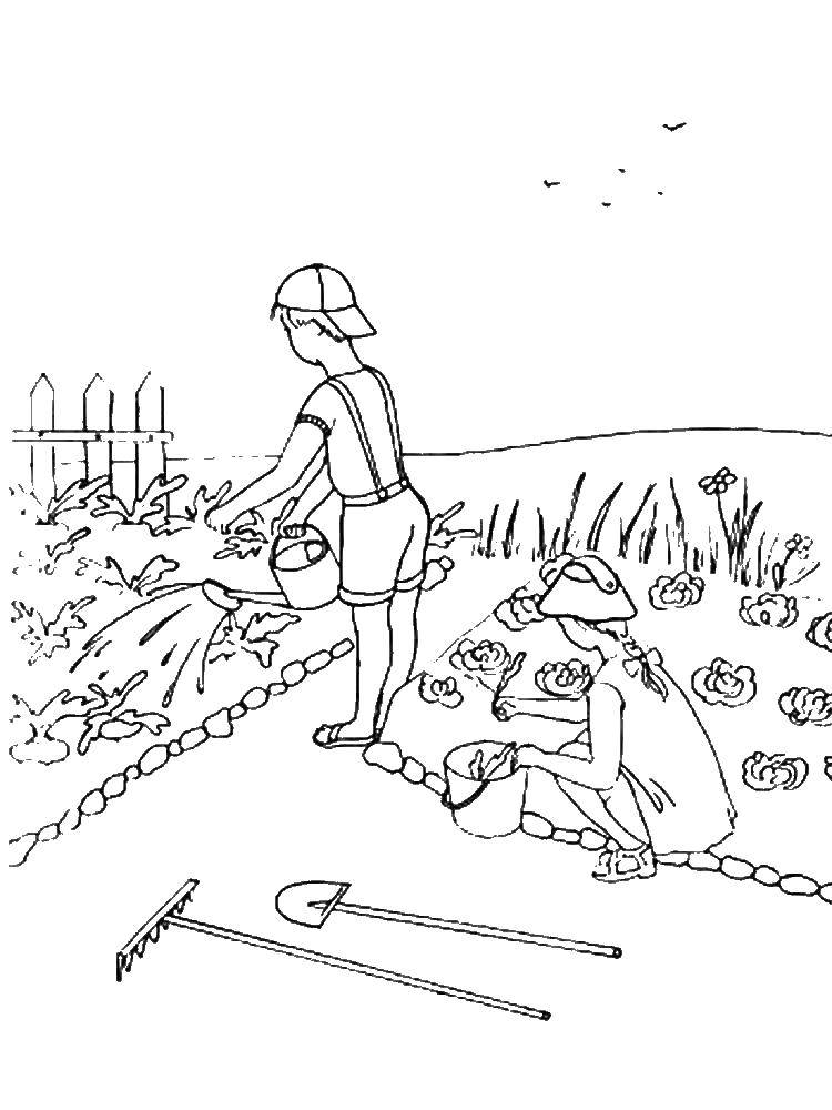 Название: Раскраска Дети поливают огород. Категория: Природа. Теги: дети, огород.