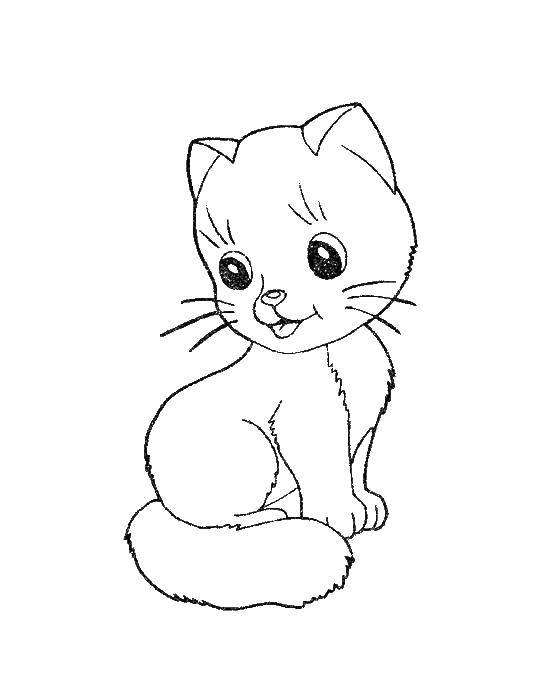 Coloring The kitten stuck out his tongue. Category Coloring pages for kids. Tags:  Animals, kitten.