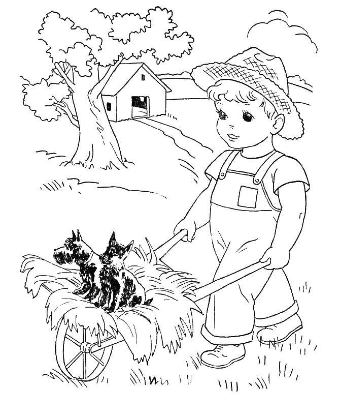 Coloring A boy carries dogs. Category Nature. Tags:  boy, farm, dog.