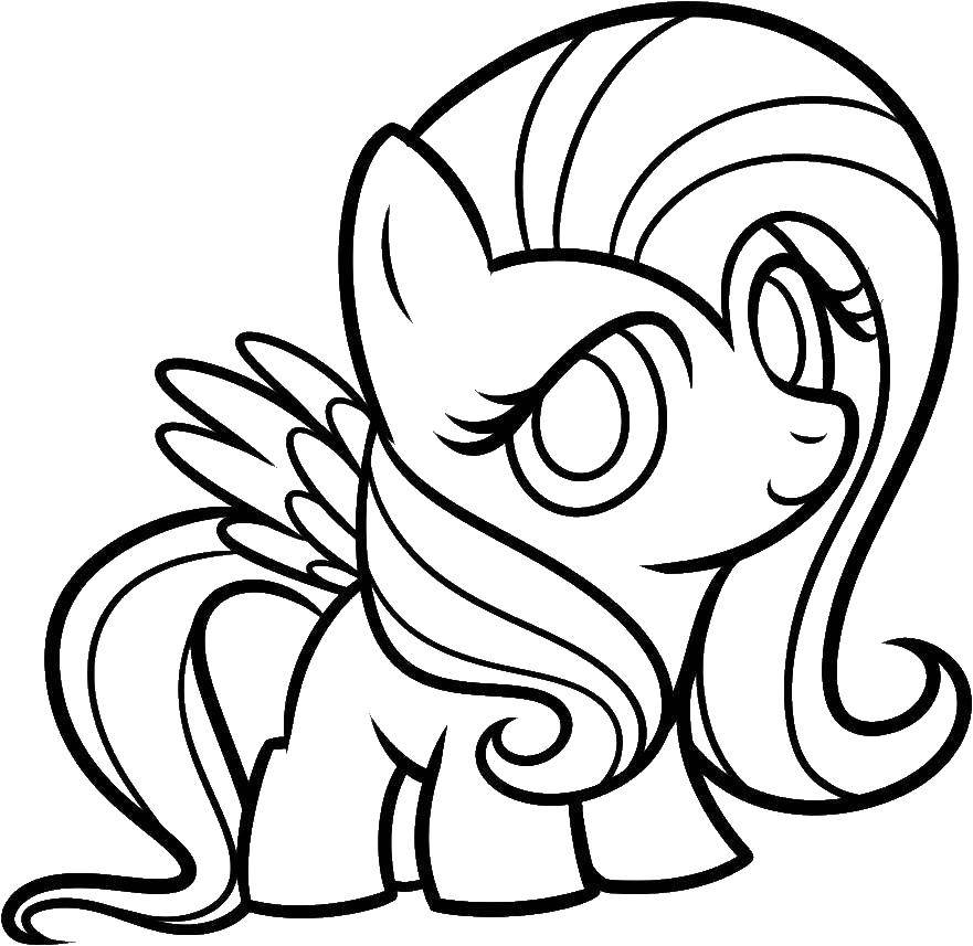 Название: Раскраска Маленькая пони. Категория: мой маленький пони. Теги: пони.