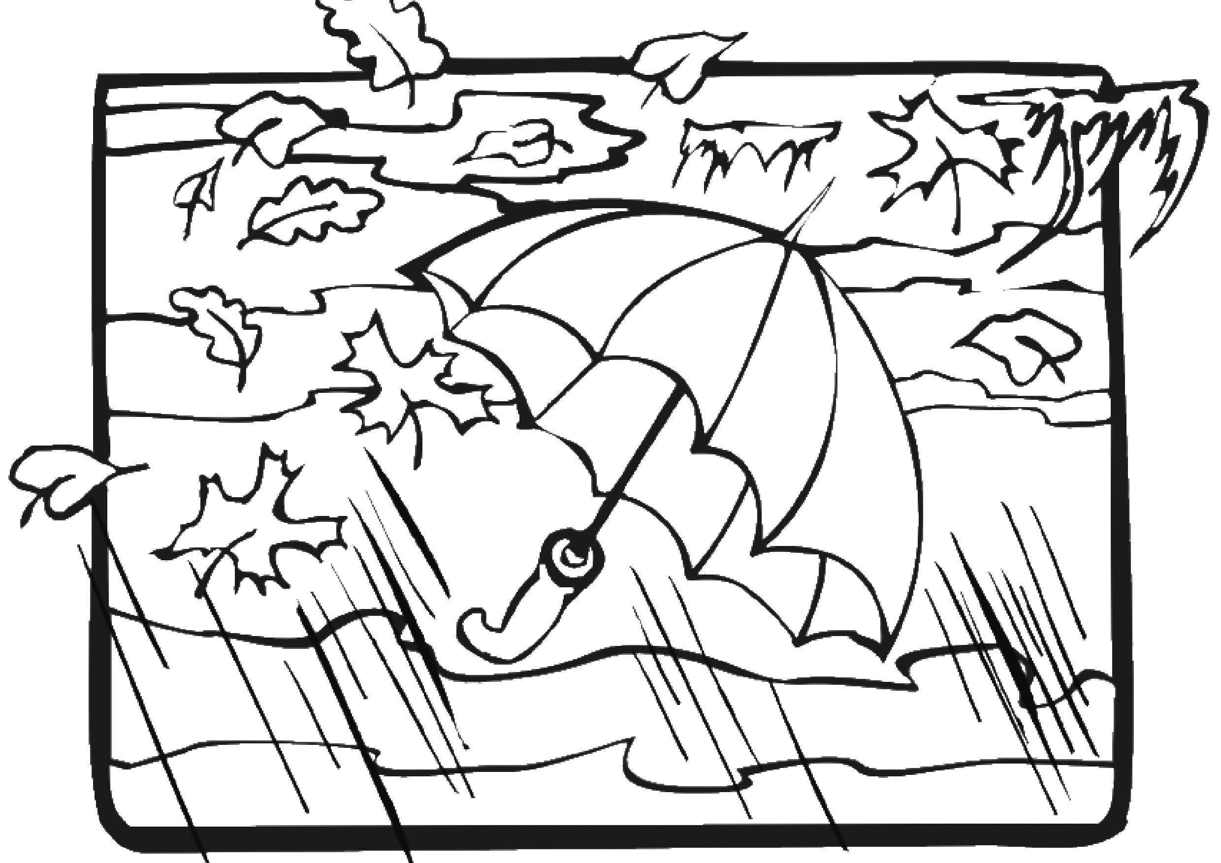 Название: Раскраска Зонтик под дождем. Категория: Природа. Теги: Природа, осень, дождь, зонт.