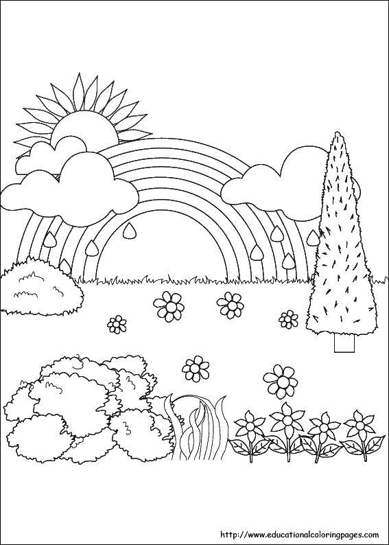 Опис: розмальовки  Дощик і веселка на галявині з квітами. Категорія: Природа. Теги:  веселка, дощ, явища природи, сонце.