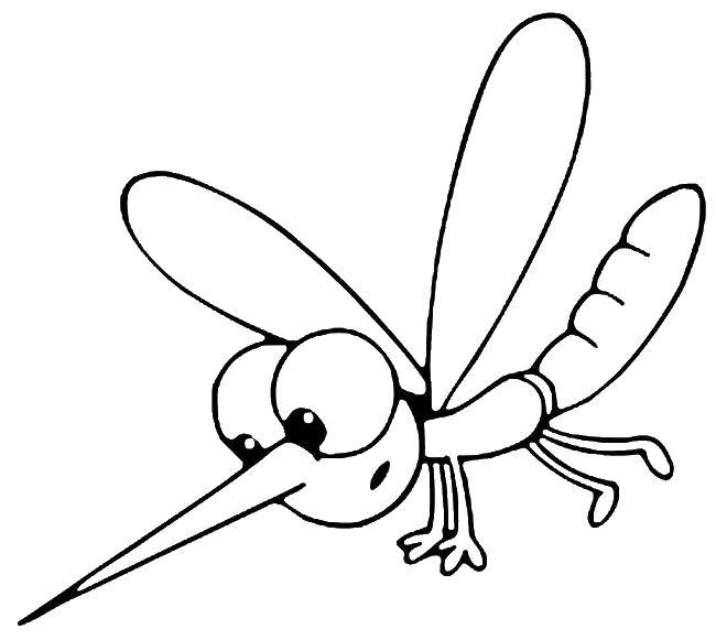 Coloring The mosquito. Category Insects. Tags:  Mosquito.