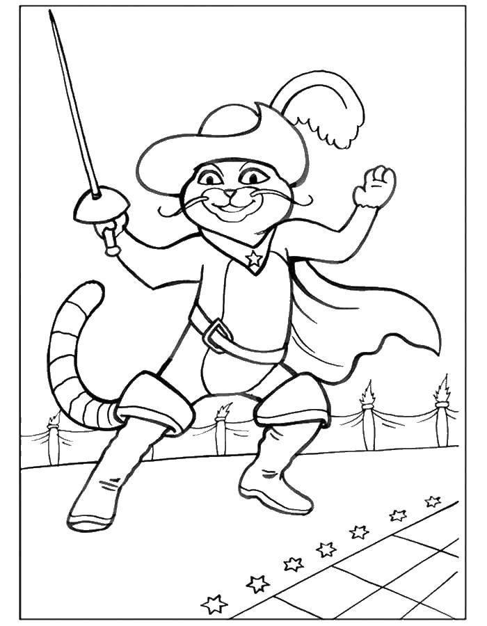 Coloring Puss in boots. Category cartoons. Tags:  Shrek, cat.