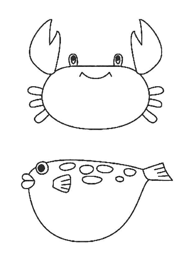 Название: Раскраска Краб и рыба ёж. Категория: морское. Теги: Подводный мир, рыба ёж, краб.