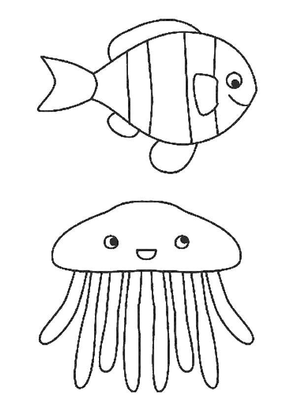 Название: Раскраска Медуза и рыбы. Категория: морское. Теги: медуза, рыбы.
