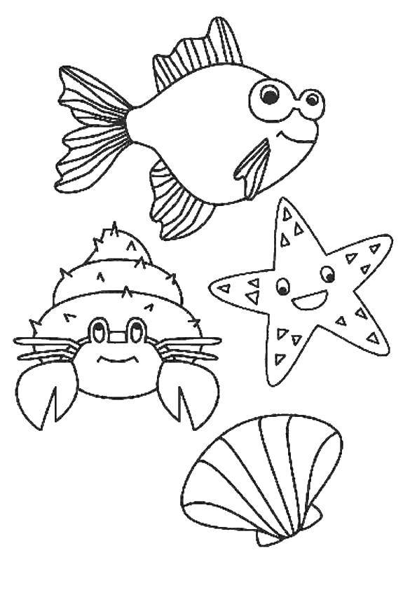 Название: Раскраска Морские обитатели в сборе. Категория: морское. Теги: Подводный мир, рыба, рак, морская звезда, ракушка.