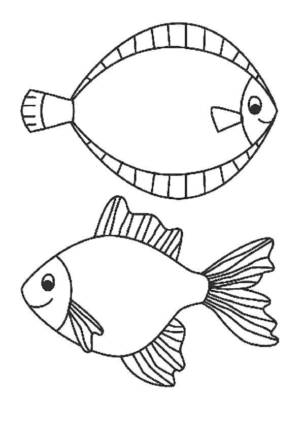Название: Раскраска Рыбки плавают в воде. Категория: морское. Теги: Подводный мир, рыба.