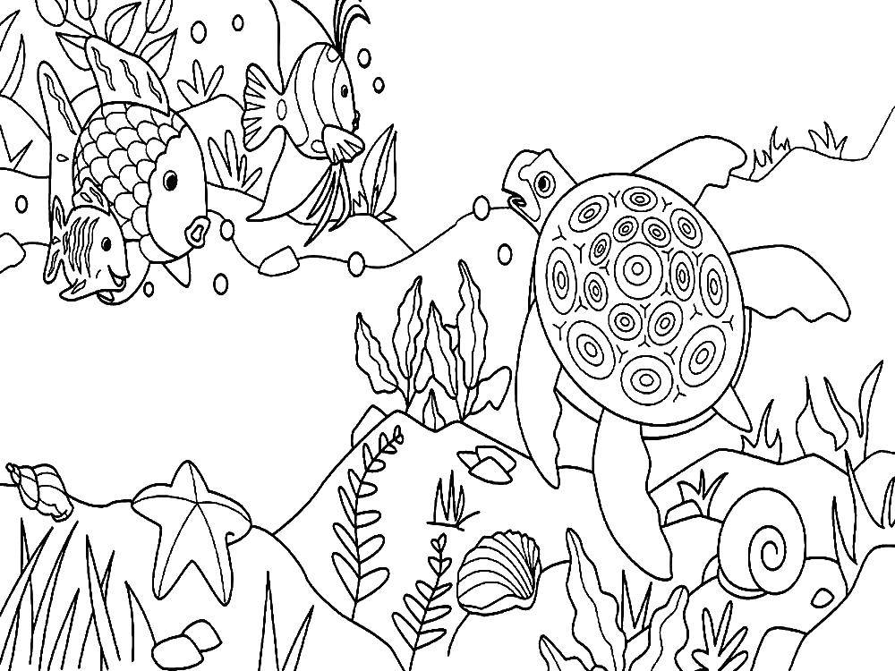 Online Coloring Pages Turtle Coloring Fish Saw A Sea Turtle Marine