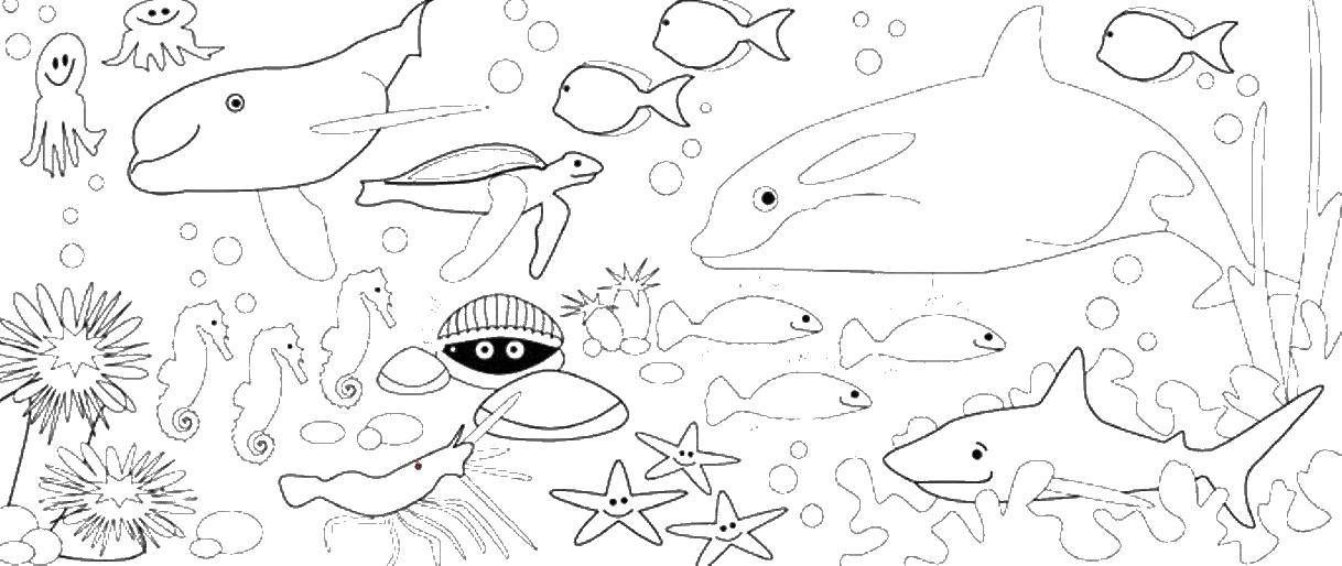 Название: Раскраска Рыбы в океане. Категория: морское. Теги: рыбы, океан.