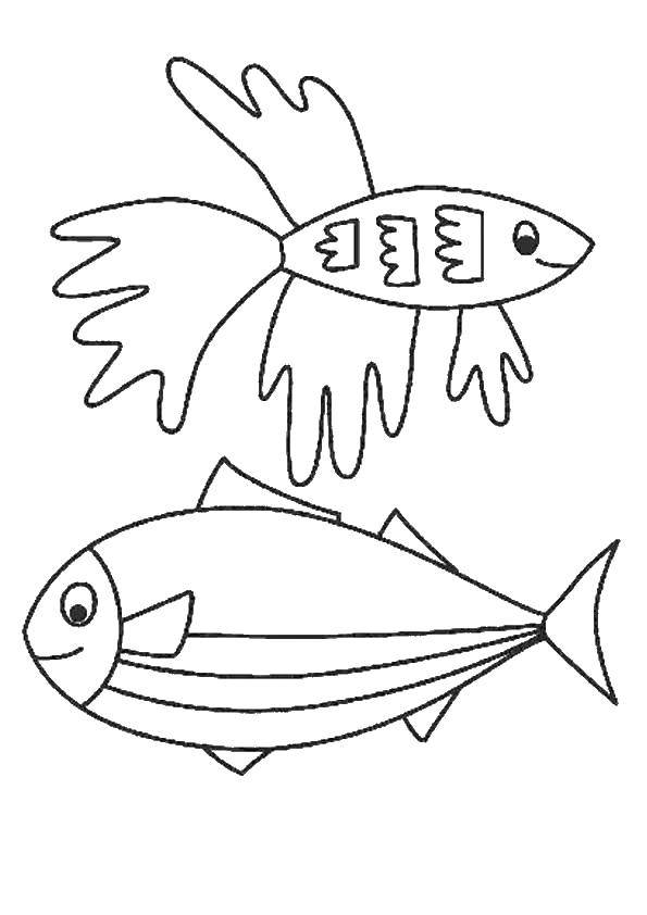 Название: Раскраска Улыбчивые рыбки. Категория: морское. Теги: Подводный мир, рыба.