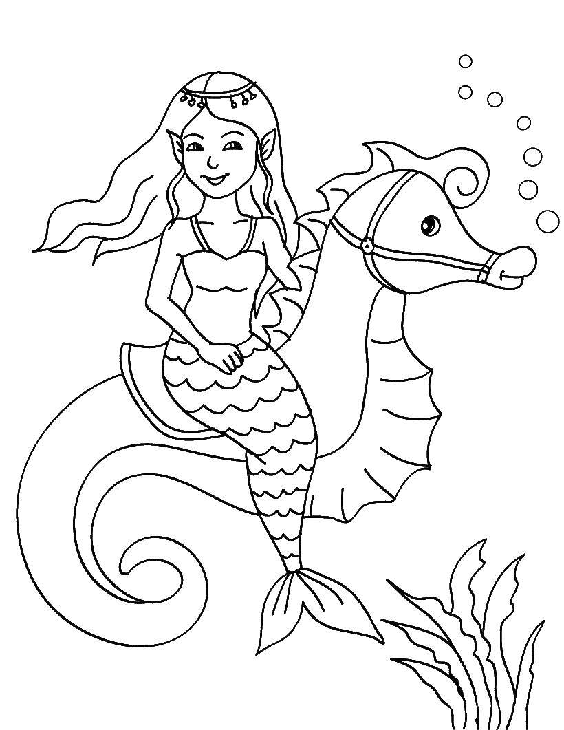 Coloring Mermaid on a sea horse. Category marine. Tags:  Mermaid, sea horse.