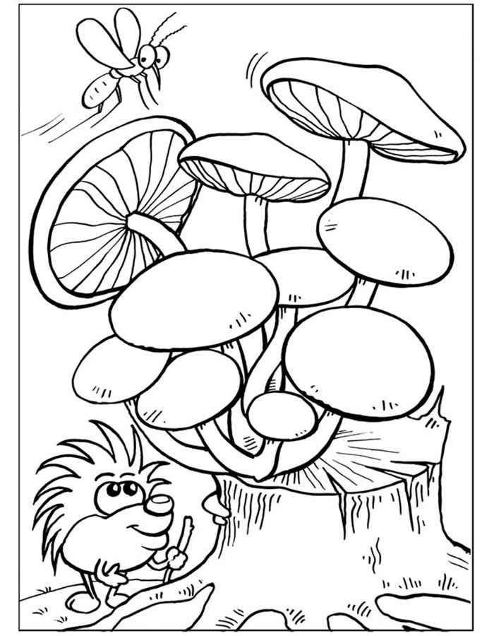 Coloring Mushrooms mushrooms. Category mushrooms. Tags:  mushroom, mushrooms.