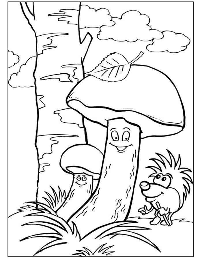 Название: Раскраска Грибы подберезовики. Категория: грибы. Теги: гриб, подберезовик.