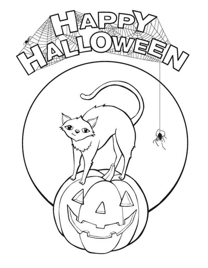 Название: Раскраска Кот поздравляет с хэллоуином. Категория: Хэллоуин. Теги: Хэллоуин, тыква, кот.