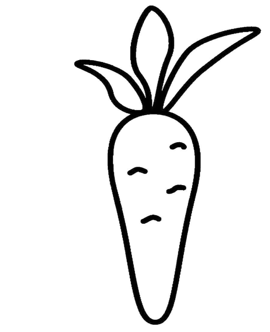 Название: Раскраска Морковка. Категория: Раскраски для малышей. Теги: морковка.