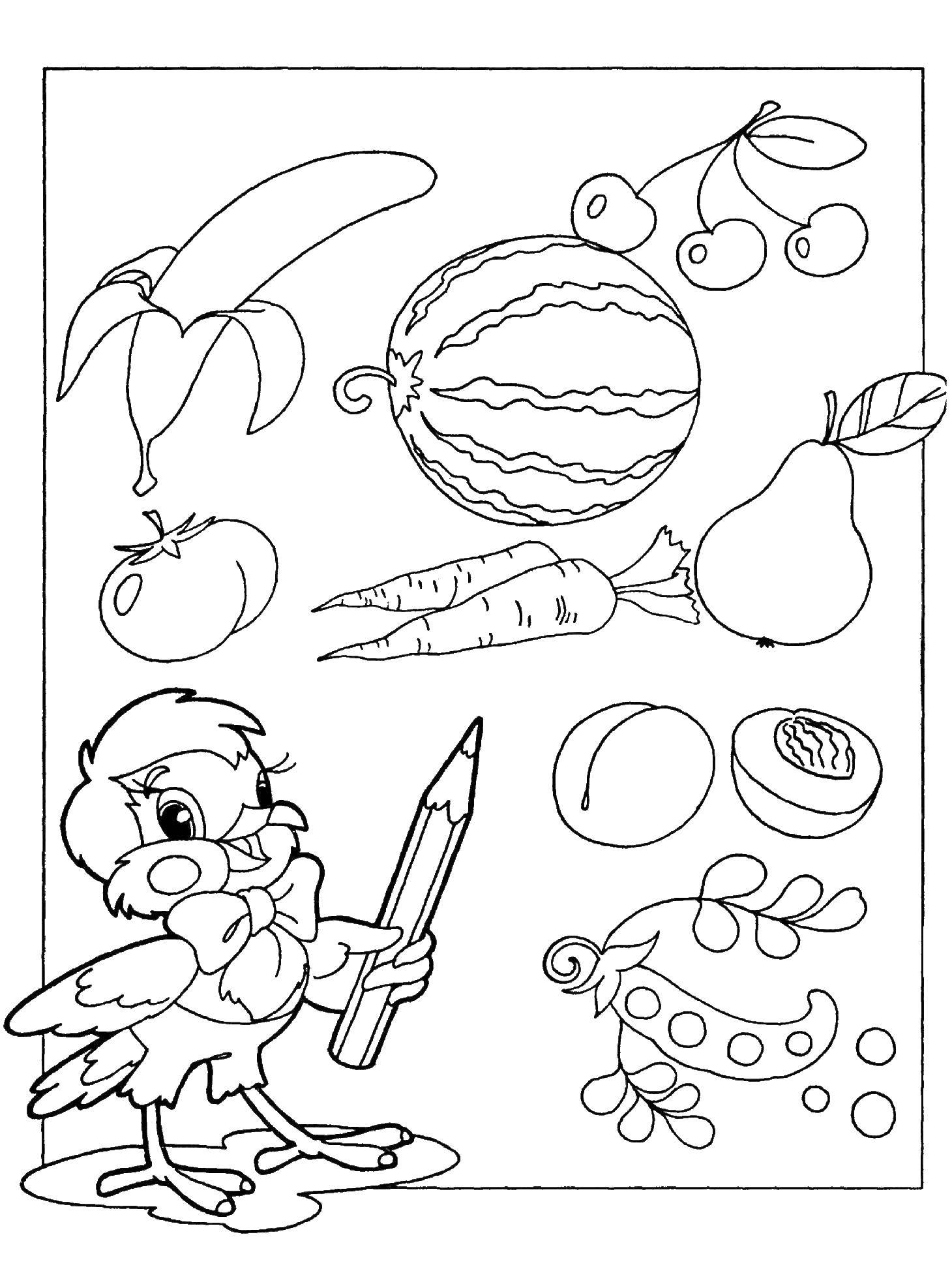 Coloring Help the bird to paint fruits and vegetables in the right color. Category Coloring pages for kids. Tags:  Vegetables, fruits, berries.