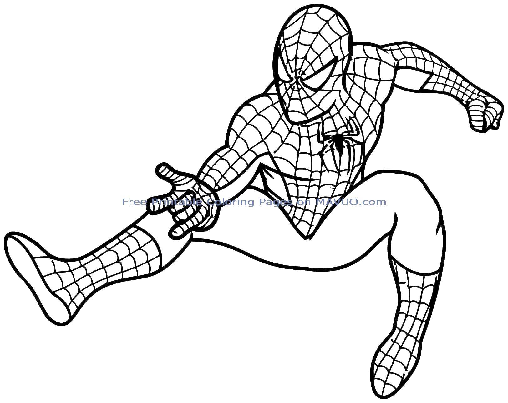 Название: Раскраска Спайдермен. Категория: Персонаж из мультфильма. Теги: спайдермен, человек паук.