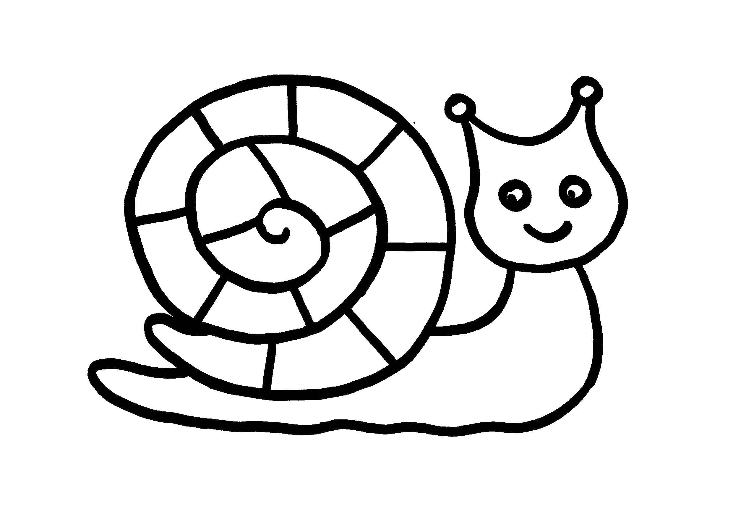Coloring Snail. Category Coloring pages for kids. Tags:  Snail.