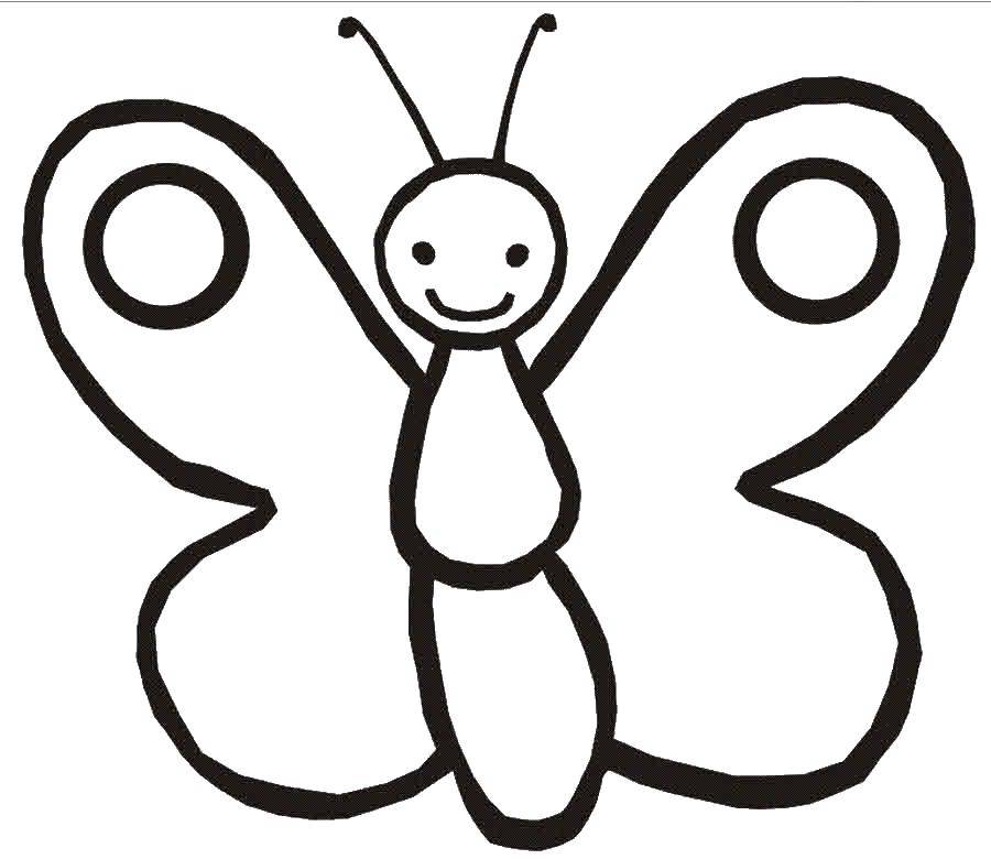Бабочка картинка для детей раскраска