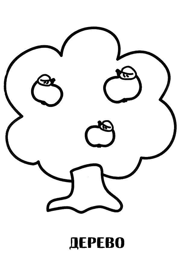 Coloring Tree with apples. Category Coloring pages for kids. Tags:  wood, apples.