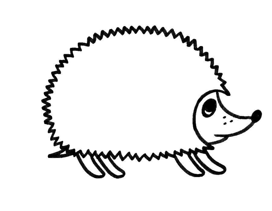 Coloring Hedgehog. Category Coloring pages for kids. Tags:  the hedgehog .