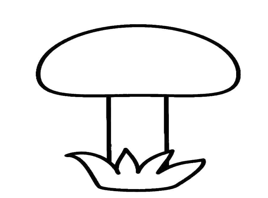 Название: Раскраска Гриб. Категория: грибы. Теги: гриб.